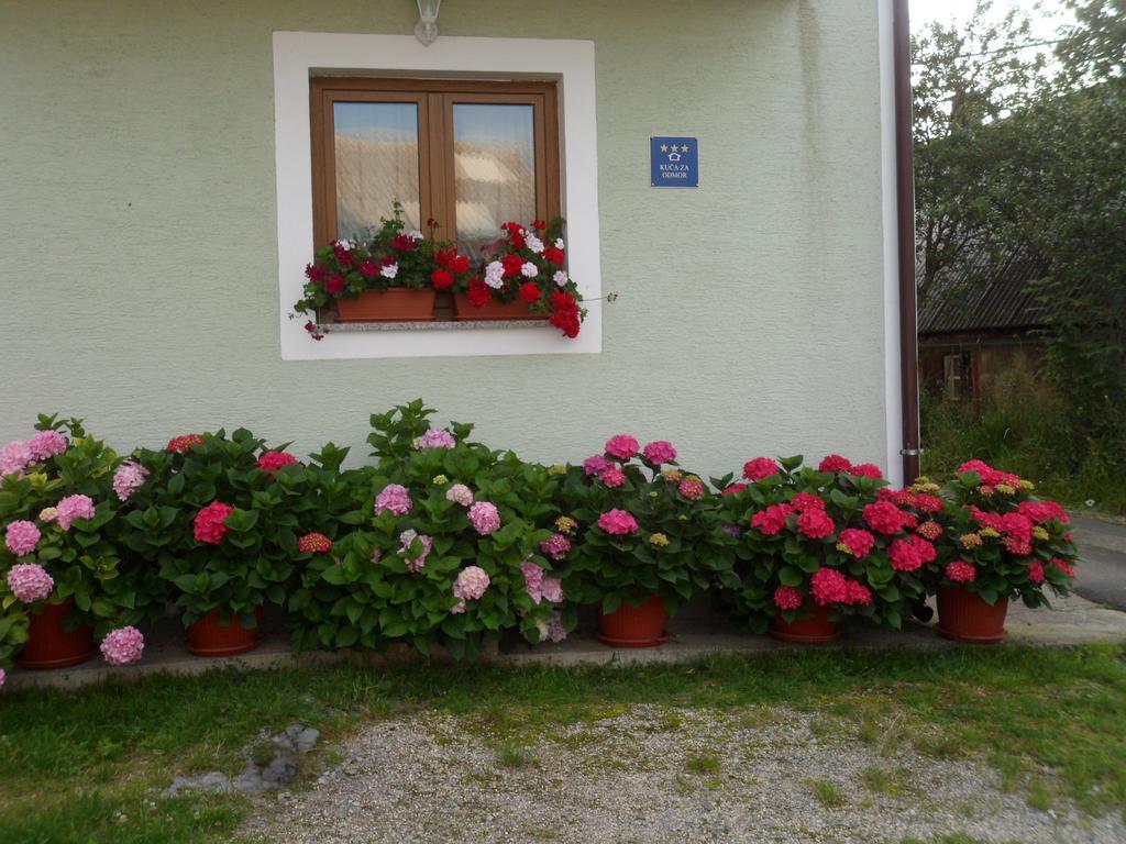 Vacation Home Kuca Za Odmor Krasno Polje Room photo