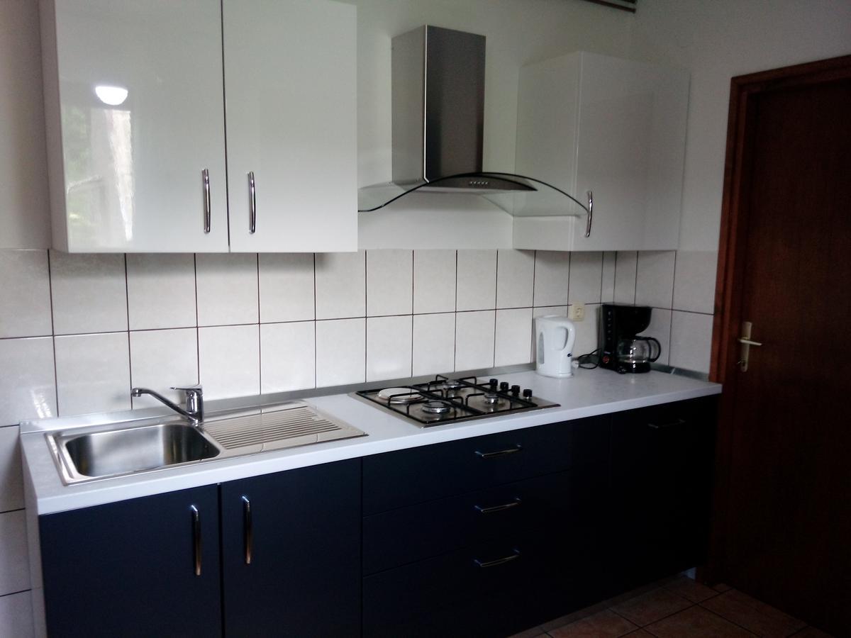 Vacation Home Kuca Za Odmor Krasno Polje Exterior photo